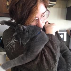 Meet your Posher, Noam rowan